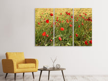 Laden Sie das Bild in den Galerie-Viewer, Leinwandbild 3-teilig Der Mohn im Wind