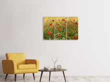 Laden Sie das Bild in den Galerie-Viewer, Leinwandbild 3-teilig Der Mohn im Wind