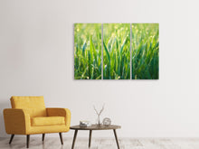 Laden Sie das Bild in den Galerie-Viewer, Leinwandbild 3-teilig Gras mit Morgentau XL