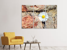 Laden Sie das Bild in den Galerie-Viewer, Leinwandbild 3-teilig Blume in der Wand