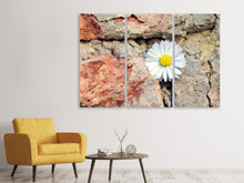 Laden Sie das Bild in den Galerie-Viewer, Leinwandbild 3-teilig Blume in der Wand