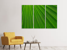 Laden Sie das Bild in den Galerie-Viewer, Leinwandbild 3-teilig Palm Streifen 1