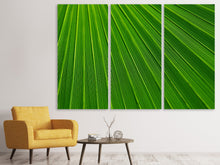 Laden Sie das Bild in den Galerie-Viewer, Leinwandbild 3-teilig Palm Streifen 1