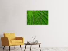 Laden Sie das Bild in den Galerie-Viewer, Leinwandbild 3-teilig Palm Streifen 1