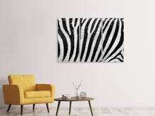 Laden Sie das Bild in den Galerie-Viewer, Leinwandbild 3-teilig Streifen vom Zebra
