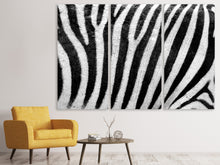 Laden Sie das Bild in den Galerie-Viewer, Leinwandbild 3-teilig Streifen vom Zebra