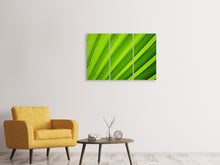 Laden Sie das Bild in den Galerie-Viewer, Leinwandbild 3-teilig Palm Streifen 2