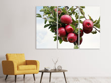 Laden Sie das Bild in den Galerie-Viewer, Leinwandbild 3-teilig Close up Apfelbaum