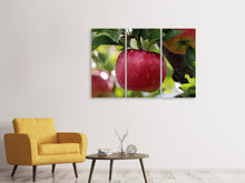 Laden Sie das Bild in den Galerie-Viewer, Leinwandbild 3-teilig Apfel in XXL