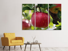 Laden Sie das Bild in den Galerie-Viewer, Leinwandbild 3-teilig Apfel in XXL
