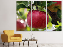 Laden Sie das Bild in den Galerie-Viewer, Leinwandbild 3-teilig Apfel in XXL