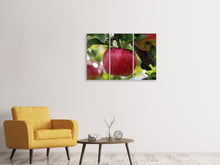 Laden Sie das Bild in den Galerie-Viewer, Leinwandbild 3-teilig Apfel in XXL
