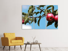 Laden Sie das Bild in den Galerie-Viewer, Leinwandbild 3-teilig Apfel am Baum