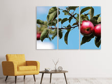 Laden Sie das Bild in den Galerie-Viewer, Leinwandbild 3-teilig Apfel am Baum