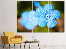 Laden Sie das Bild in den Galerie-Viewer, Leinwandbild 3-teilig Blaue Blume mit Morgentau