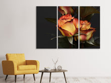 Laden Sie das Bild in den Galerie-Viewer, Leinwandbild 3-teilig Rosen der Romantik