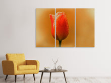 Laden Sie das Bild in den Galerie-Viewer, Leinwandbild 3-teilig Eine Tulpe im Morgentau