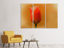 Laden Sie das Bild in den Galerie-Viewer, Leinwandbild 3-teilig Eine Tulpe im Morgentau
