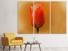 Laden Sie das Bild in den Galerie-Viewer, Leinwandbild 3-teilig Eine Tulpe im Morgentau
