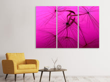 Laden Sie das Bild in den Galerie-Viewer, Leinwandbild 3-teilig Pusteblume in pink