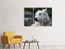 Laden Sie das Bild in den Galerie-Viewer, Leinwandbild 3-teilig Der einsame Wolf
