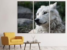 Laden Sie das Bild in den Galerie-Viewer, Leinwandbild 3-teilig Der einsame Wolf