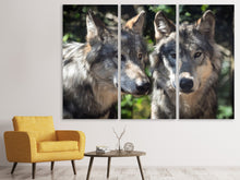 Laden Sie das Bild in den Galerie-Viewer, Leinwandbild 3-teilig 2 Wölfe