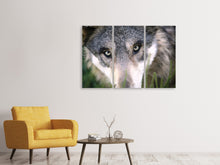 Laden Sie das Bild in den Galerie-Viewer, Leinwandbild 3-teilig Der Wolfs Blick