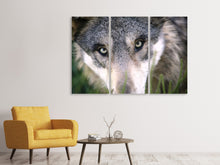 Laden Sie das Bild in den Galerie-Viewer, Leinwandbild 3-teilig Der Wolfs Blick