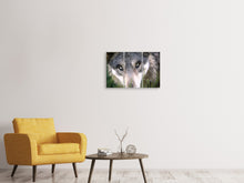 Laden Sie das Bild in den Galerie-Viewer, Leinwandbild 3-teilig Der Wolfs Blick
