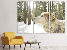 Laden Sie das Bild in den Galerie-Viewer, Leinwandbild 3-teilig Der Alaskan Malamute