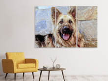 Laden Sie das Bild in den Galerie-Viewer, Leinwandbild 3-teilig Der Schäferhund