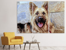 Laden Sie das Bild in den Galerie-Viewer, Leinwandbild 3-teilig Der Schäferhund