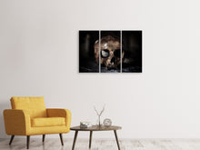 Laden Sie das Bild in den Galerie-Viewer, Leinwandbild 3-teilig Der Schädel