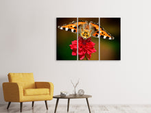 Laden Sie das Bild in den Galerie-Viewer, Leinwandbild 3-teilig Der fliegende Fuchs