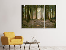 Laden Sie das Bild in den Galerie-Viewer, Leinwandbild 3-teilig Wald Lauf