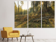 Laden Sie das Bild in den Galerie-Viewer, Leinwandbild 3-teilig Arbeiten im Wald