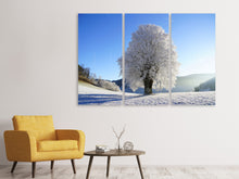 Laden Sie das Bild in den Galerie-Viewer, Leinwandbild 3-teilig Winter Märchen