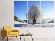 Laden Sie das Bild in den Galerie-Viewer, Leinwandbild 3-teilig Winter Märchen