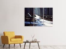 Laden Sie das Bild in den Galerie-Viewer, Leinwandbild 3-teilig Ein Weg im Schnee
