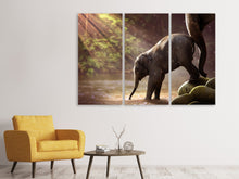 Laden Sie das Bild in den Galerie-Viewer, Leinwandbild 3-teilig Das Elefantenbaby