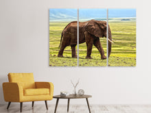Laden Sie das Bild in den Galerie-Viewer, Leinwandbild 3-teilig Prächtiger Elefant
