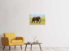 Laden Sie das Bild in den Galerie-Viewer, Leinwandbild 3-teilig Prächtiger Elefant