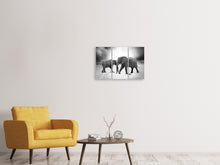 Laden Sie das Bild in den Galerie-Viewer, Leinwandbild 3-teilig 2 Elefanten sw