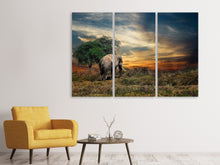 Laden Sie das Bild in den Galerie-Viewer, Leinwandbild 3-teilig Der Elefant im Sonnenuntergang