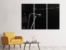 Laden Sie das Bild in den Galerie-Viewer, Leinwandbild 3-teilig Auf der Bühne