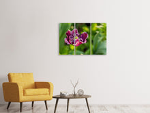 Laden Sie das Bild in den Galerie-Viewer, Leinwandbild 3-teilig Dunkle Tulpe in der Natur