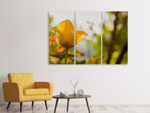 Laden Sie das Bild in den Galerie-Viewer, Leinwandbild 3-teilig Gelbe Tulpe in der Natur
