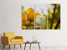 Laden Sie das Bild in den Galerie-Viewer, Leinwandbild 3-teilig Gelbe Tulpe in der Natur