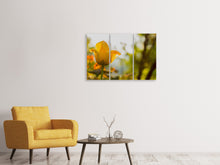 Laden Sie das Bild in den Galerie-Viewer, Leinwandbild 3-teilig Gelbe Tulpe in der Natur